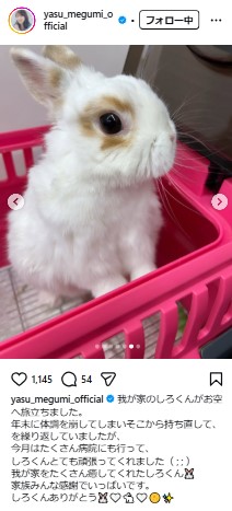 安めぐみのインスタグラムから