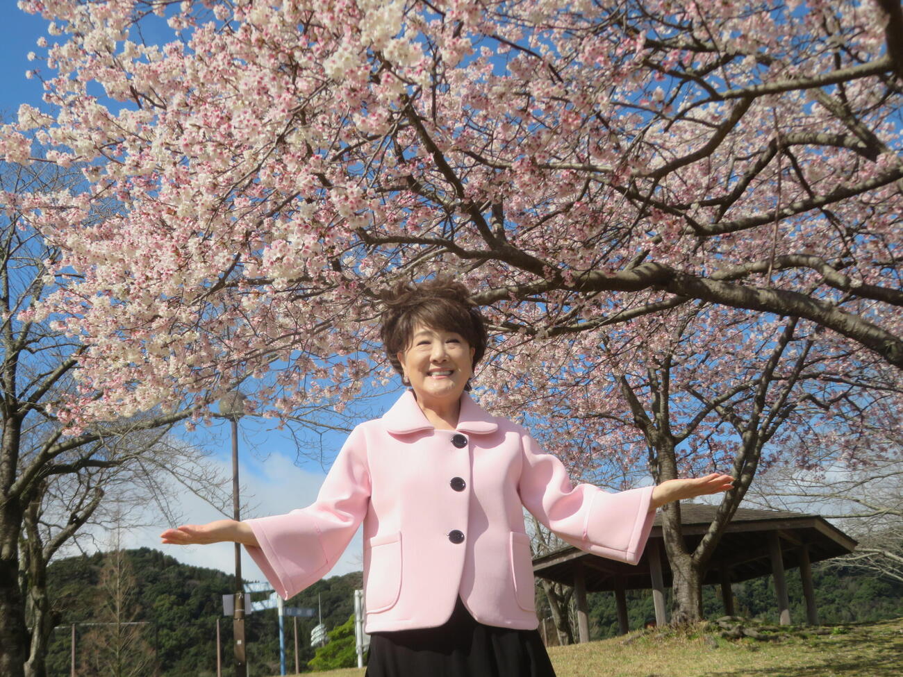 新曲「暖流桜」の舞台鹿児島で暖流桜を堪能する川中美幸（撮影・川田和博）