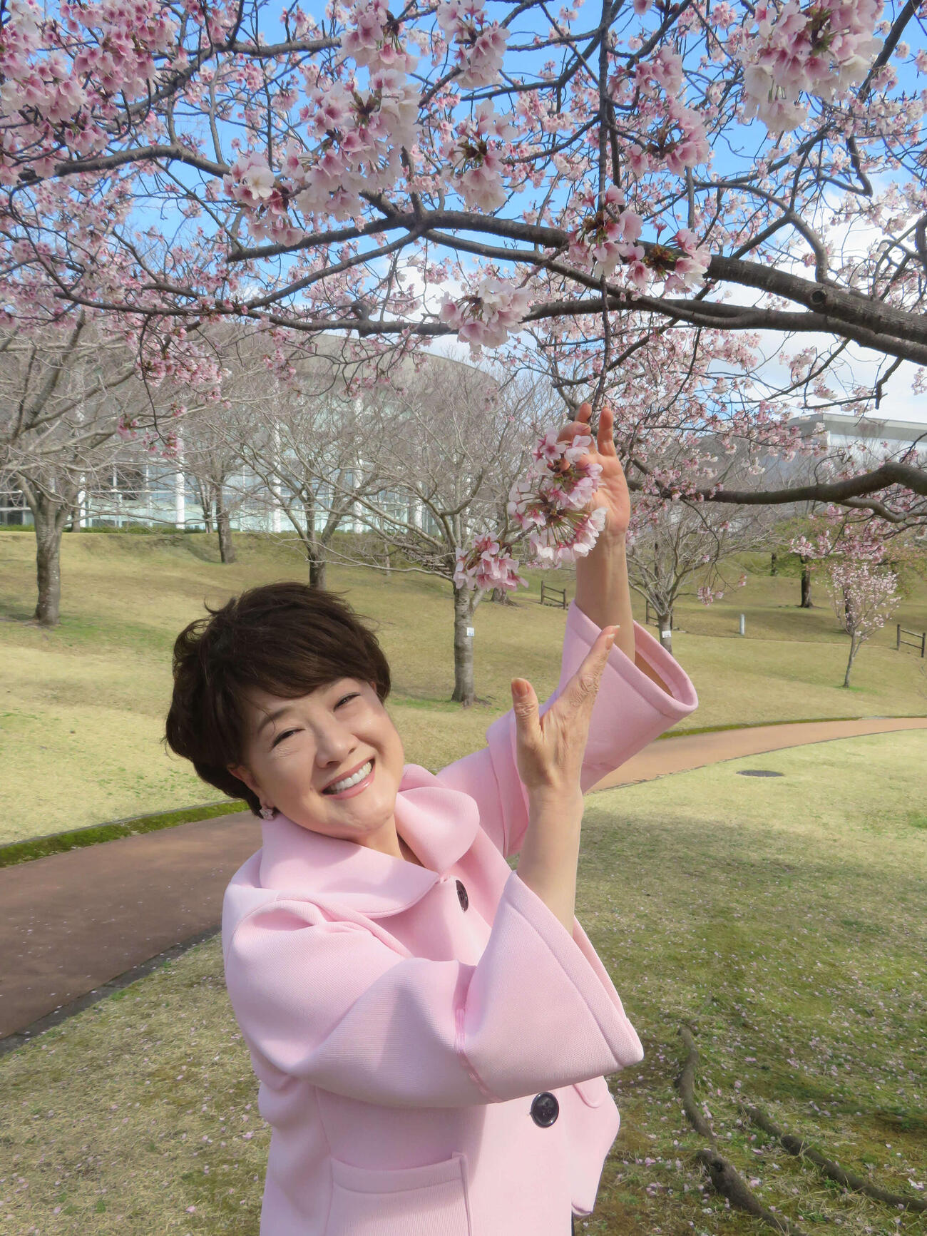 新曲「暖流桜」の舞台鹿児島で暖流桜を堪能する川中美幸（撮影・川田和博）