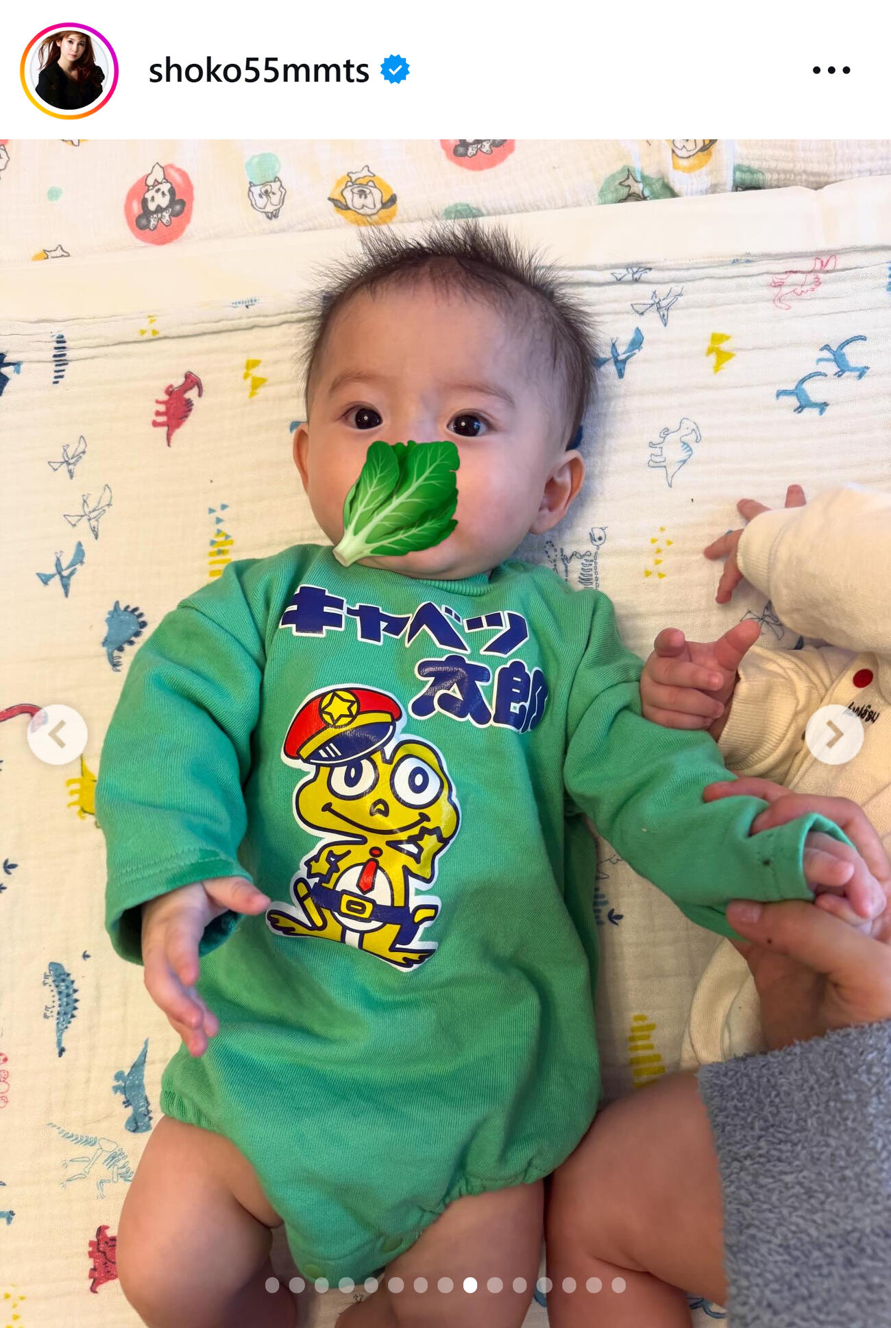 中川翔子のインスタグラムから