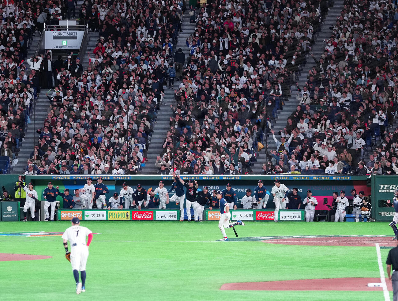 日本対韓国　韓国に勝利し、歓喜する日本ベンチ（撮影・鈴木みどり）