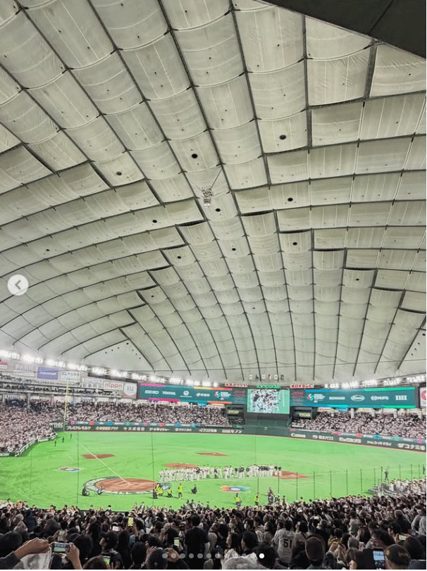 はるな愛のインスタグラムから