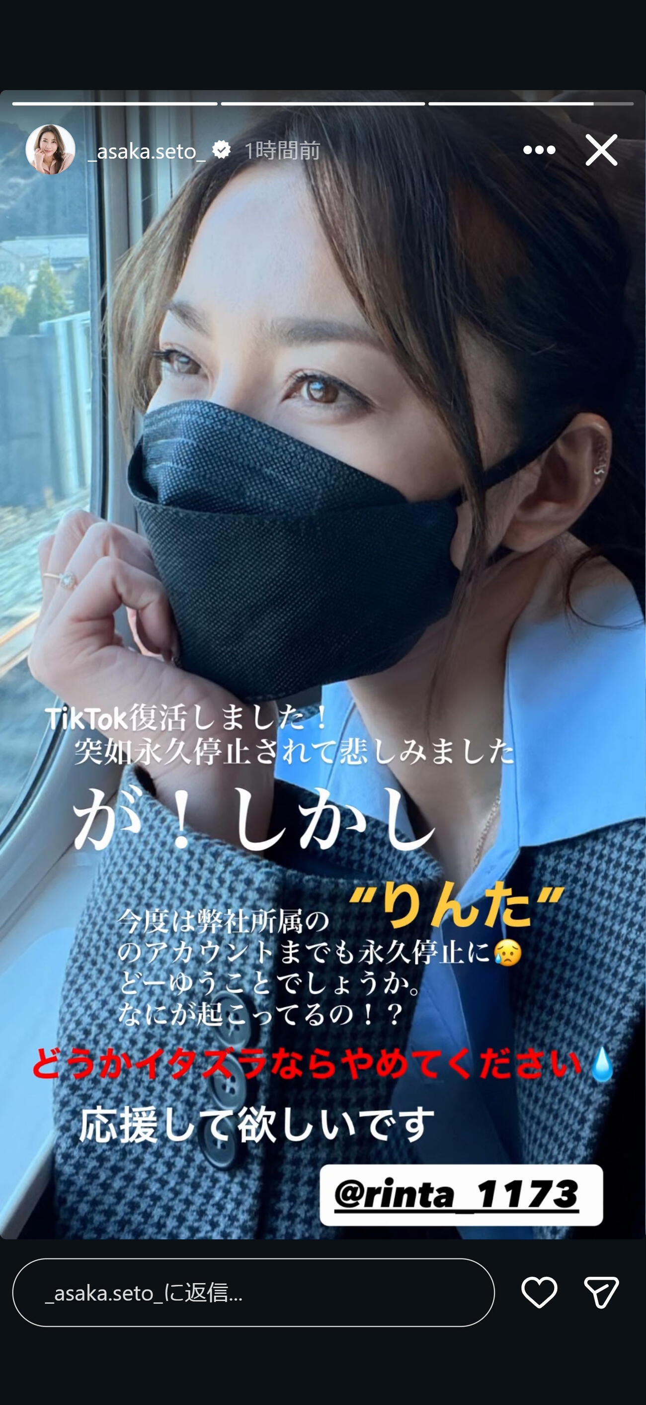 瀬戸朝香のインスタグラムから