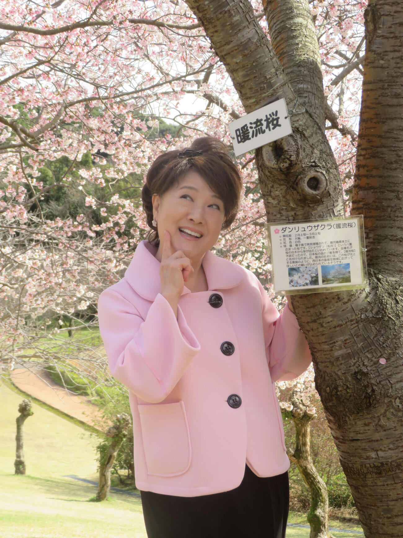 新曲「暖流桜」の舞台鹿児島の暖流桜の元、“亜美ちゃんポーズ”を披露する川中美幸（撮影・川田和博）