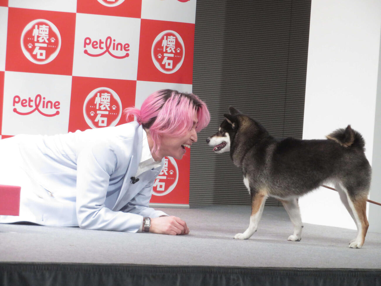 ペットライン「懐石」新CM＆アンバサダー継続発表会で犬と戯れるSnow Man佐久間大介