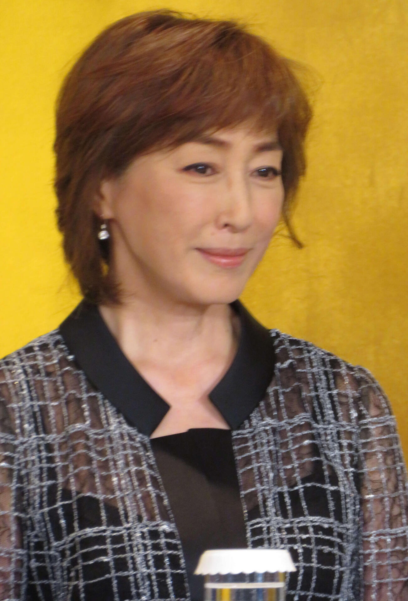 「新派・松竹新喜劇の合同喜劇公演」の記者会見を行った高島礼子