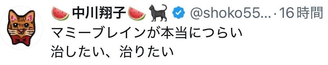 中川翔子のXから