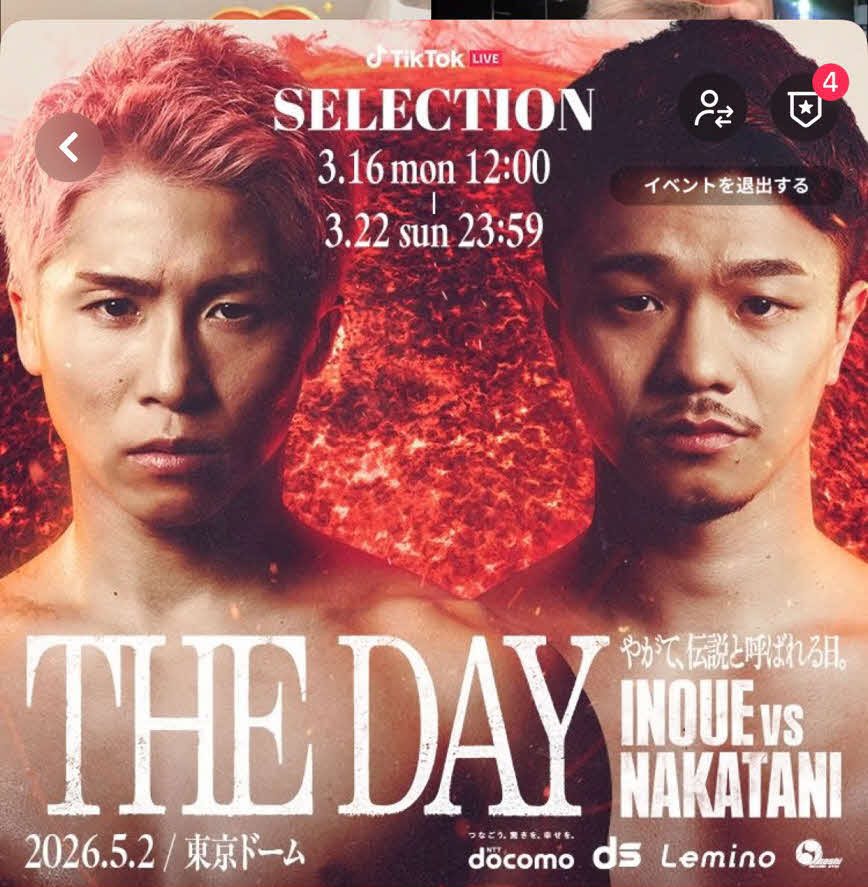 格闘技イベント「THE DAY」の「TikTok LIVEアンバサダーオーディション」の告知画像