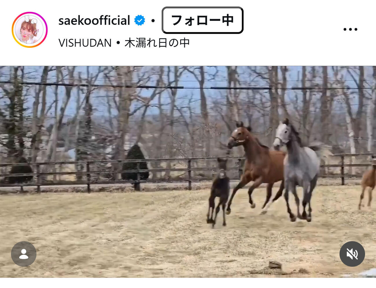 紗栄子のインスタグラムから