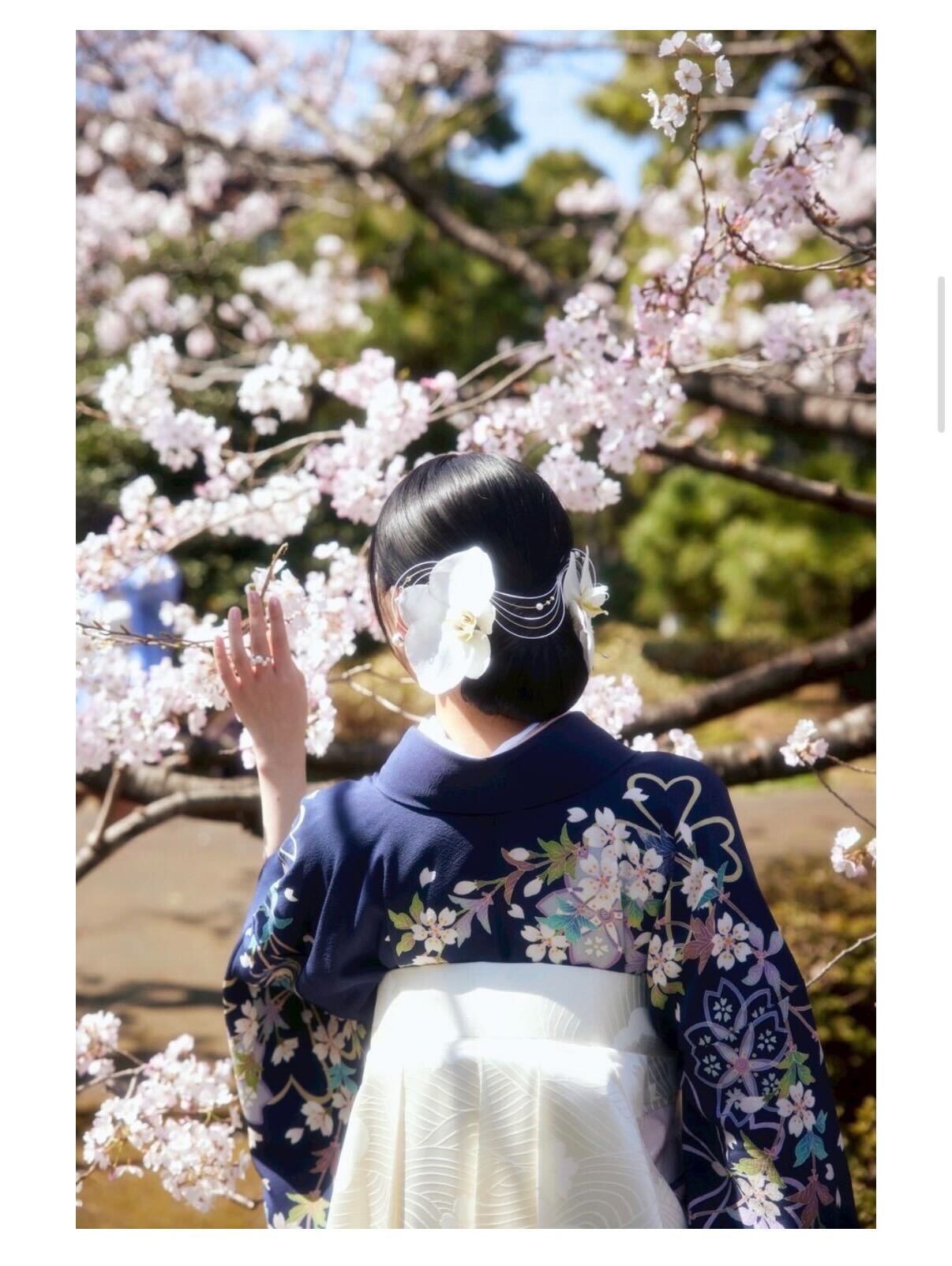 川﨑桜のブログから