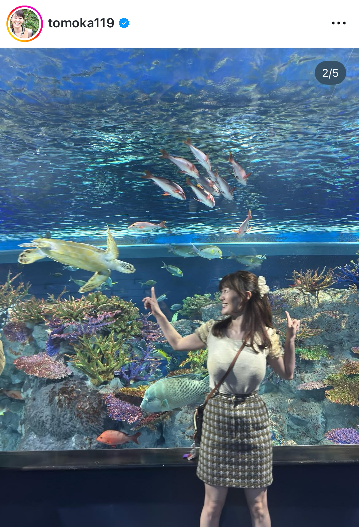 竹中知華のインスタグラムから