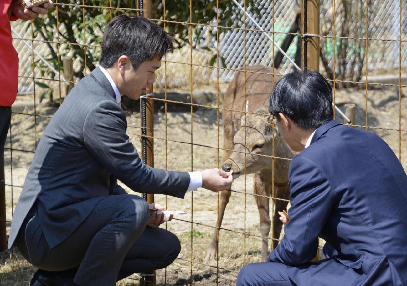 「シカやん」に「鹿せんべい」を与える大阪府の吉村洋文知事（左）と奈良県の山下真知事（共同）