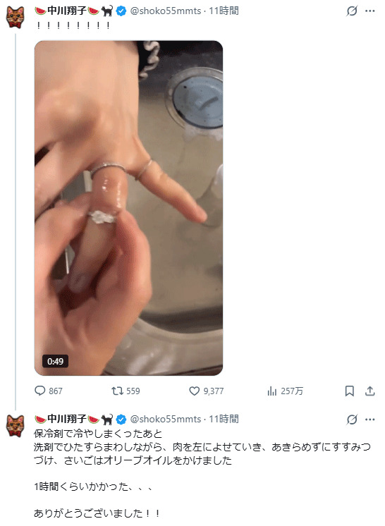 中川翔子のXから