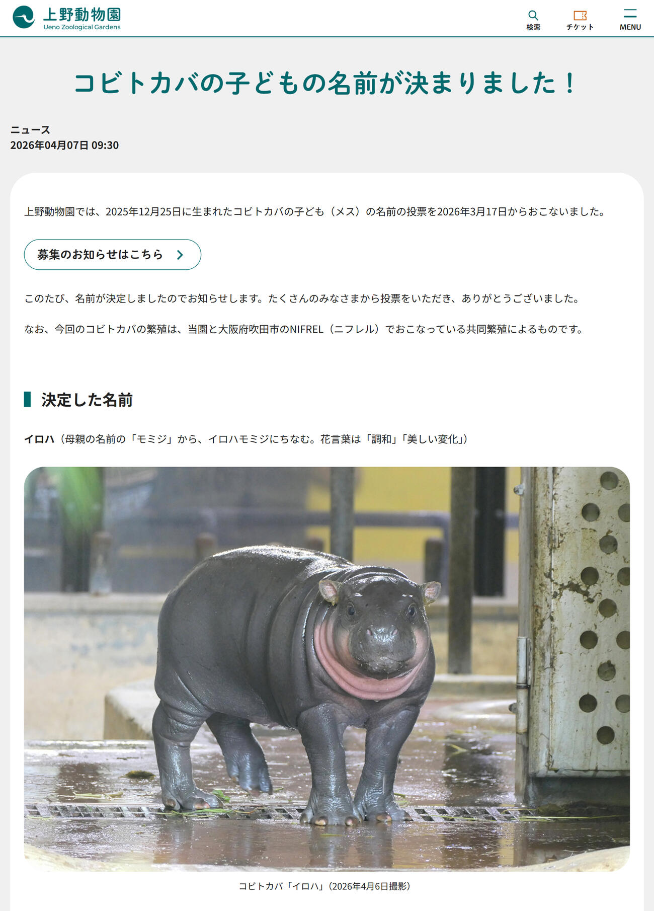 上野動物園の公式サイトから