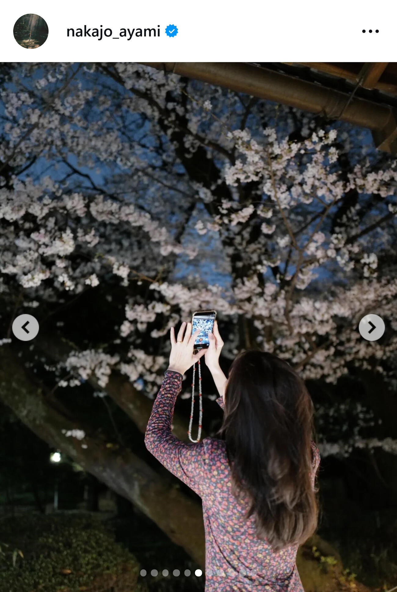 桜の写真を撮る中条あやみ（中条あやみのインスタグラムから）