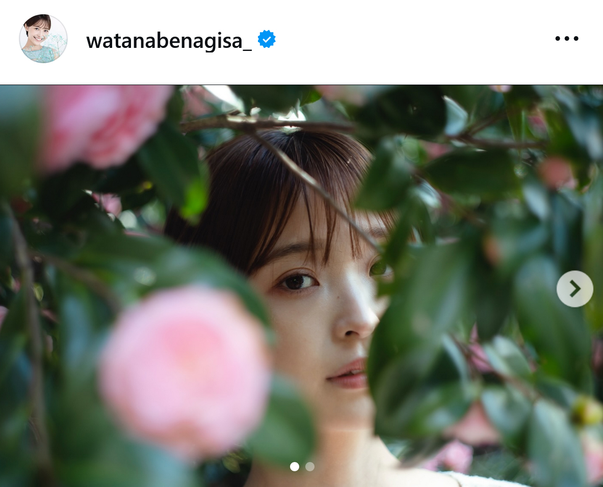 渡邊渚のインスタグラムから