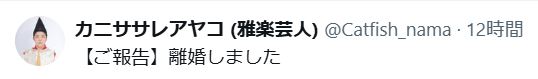 カニササレアヤコのXから
