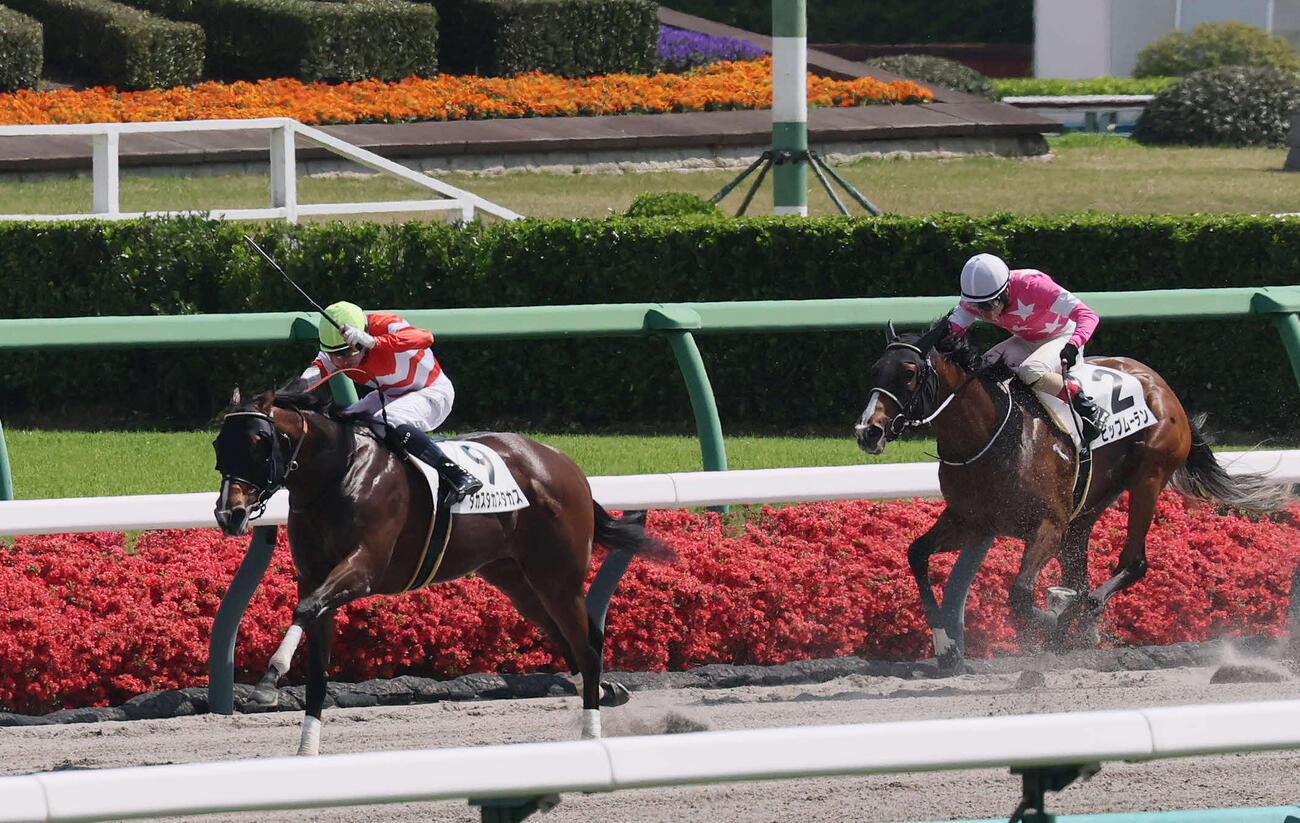 中山7R、3歳1勝クラスを制したタカスタカスタカスとディー騎手（撮影・丹羽敏通）