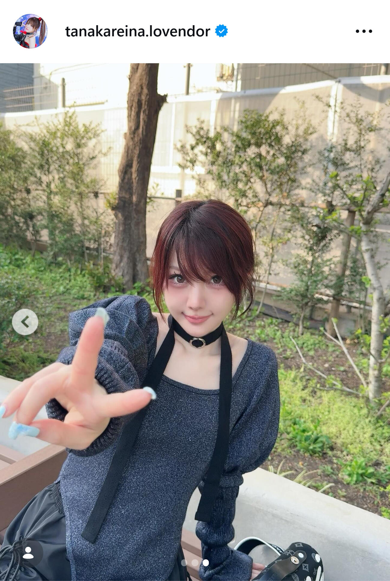 田中れいなのインスタグラムから