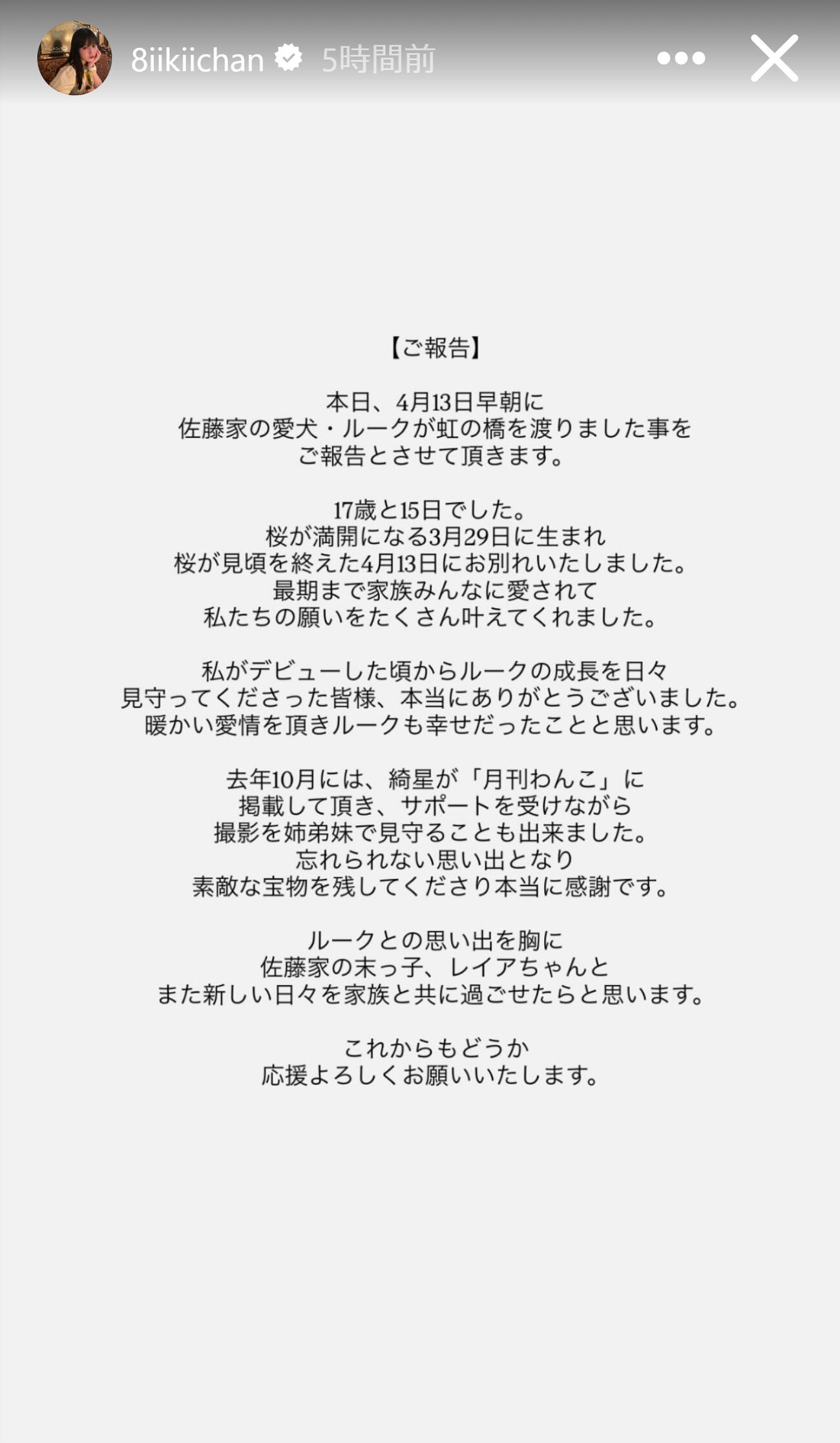 愛犬の死を報告した佐藤妃星（佐藤妃星のインスタグラムから）
