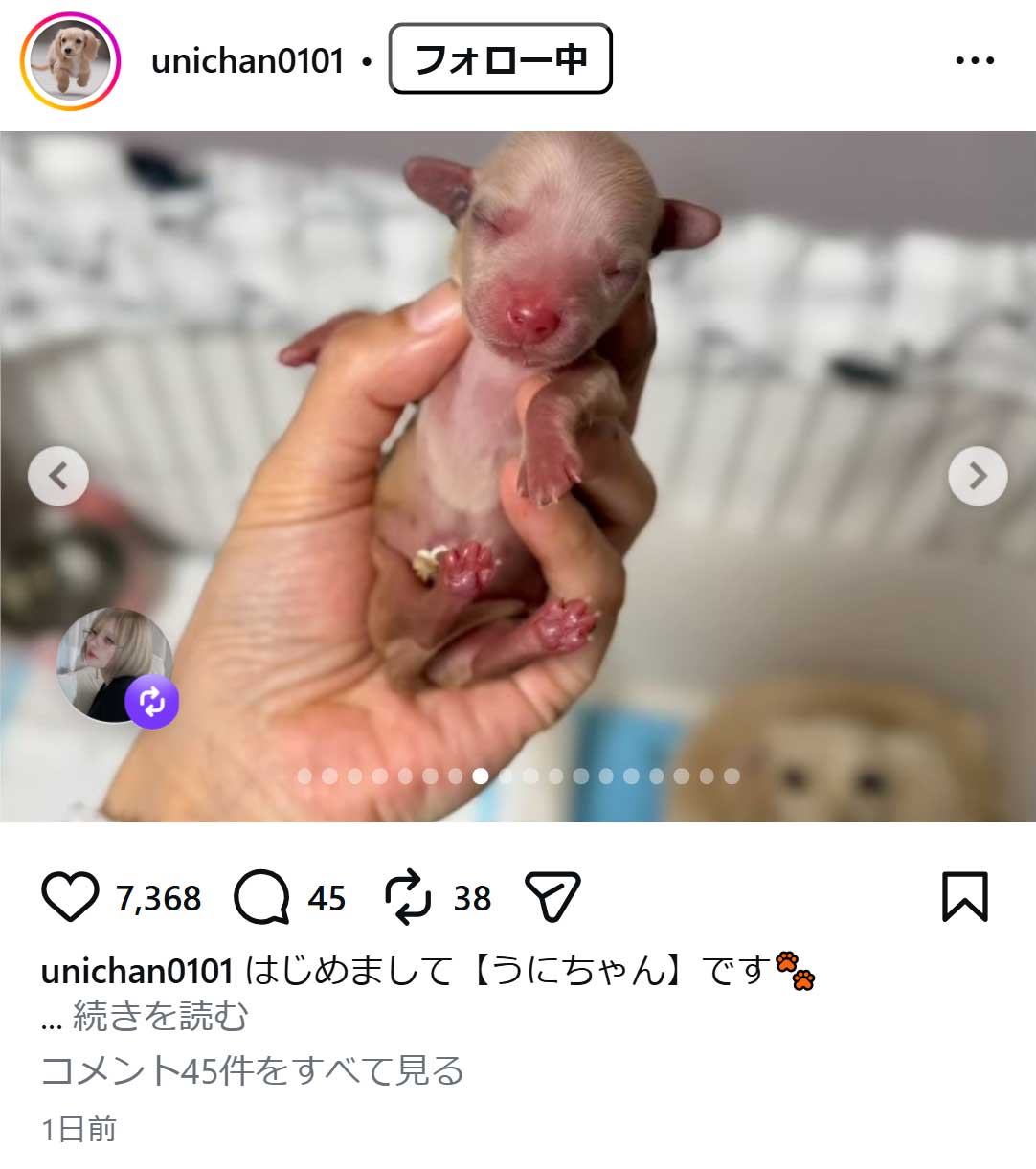 うにちゃんのインスタグラムから