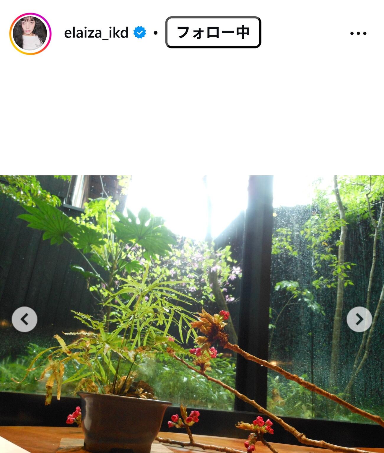 池田エライザのインスタグラムから