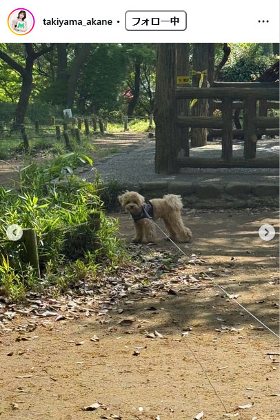 瀧山あかねアナのインスタグラムから