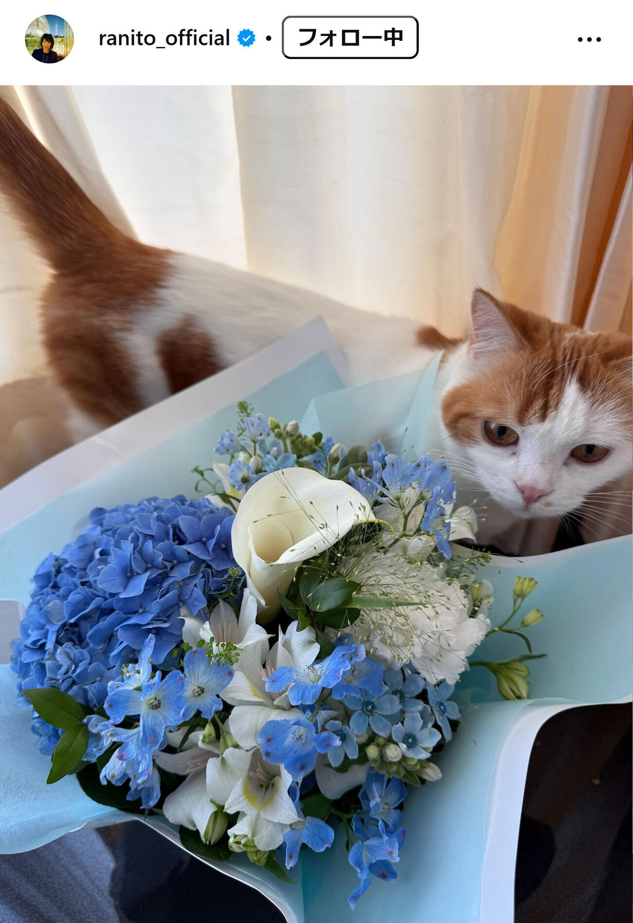 伊藤蘭のインスタグラムから