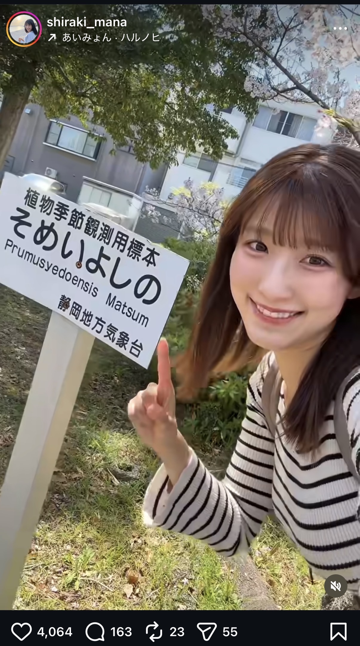 白木愛奈アナのインスタグラムから