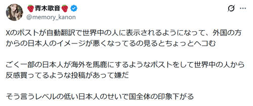 人気ユーチューバー、Ｘポスト自動翻訳で「日本人のイメージが悪く…」「国全体の印象下がる」