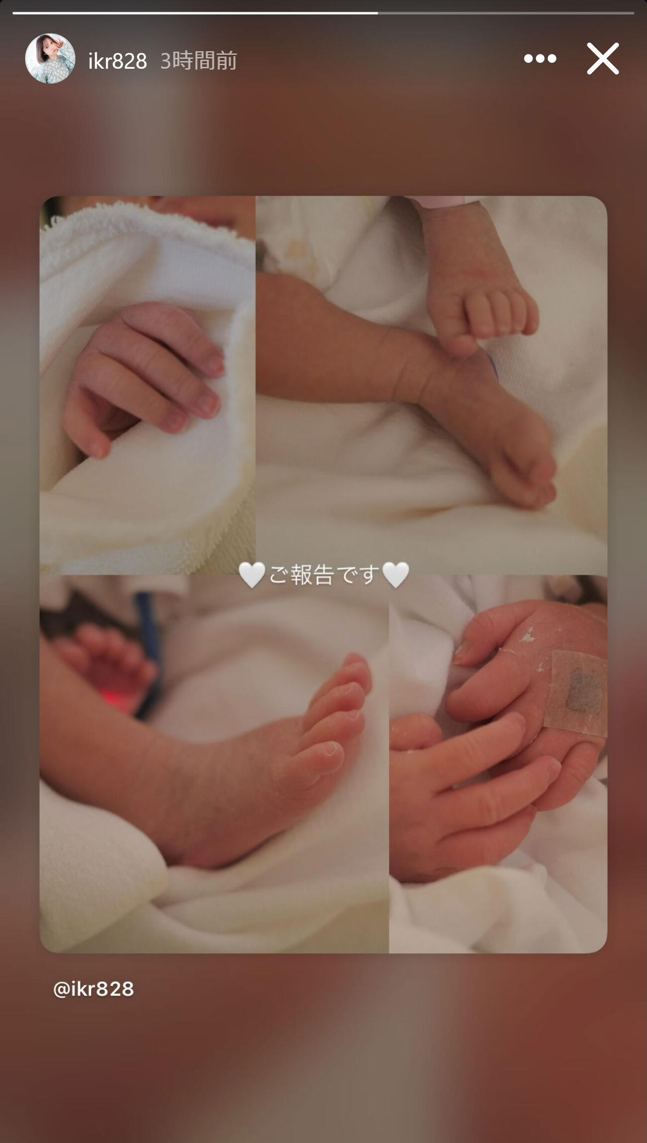 いとくとらのインスタグラムから
