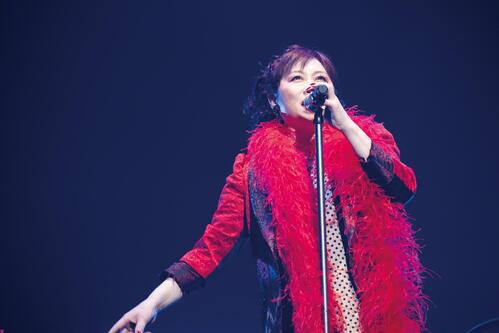 渡辺美里、21年ぶり“西武球場”公演発表「里帰りしようと思います」6000人大歓声