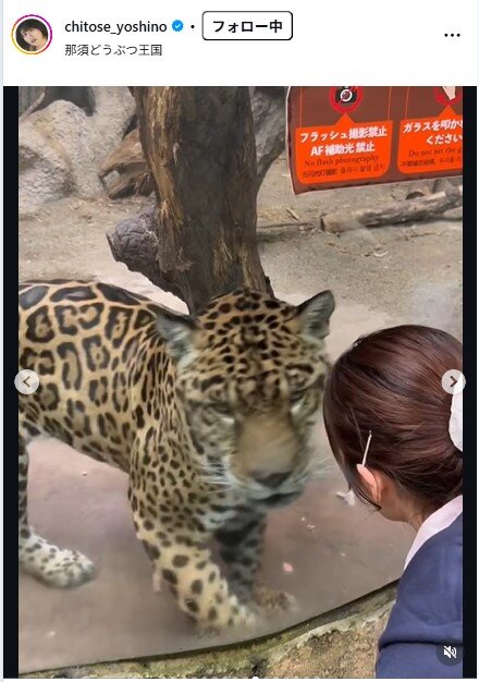 ちとせよしののインスタグラムから