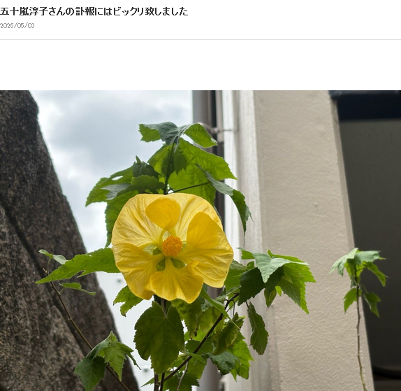 大川栄子のブログから