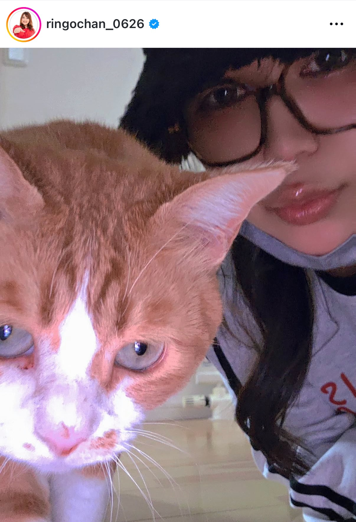 りんごちゃんのインスタグラムから
