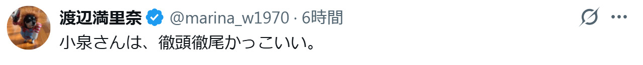 渡辺満里奈のXから