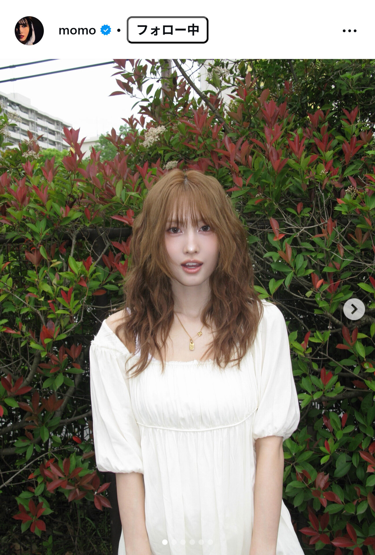 MOMOのインスタグラムから
