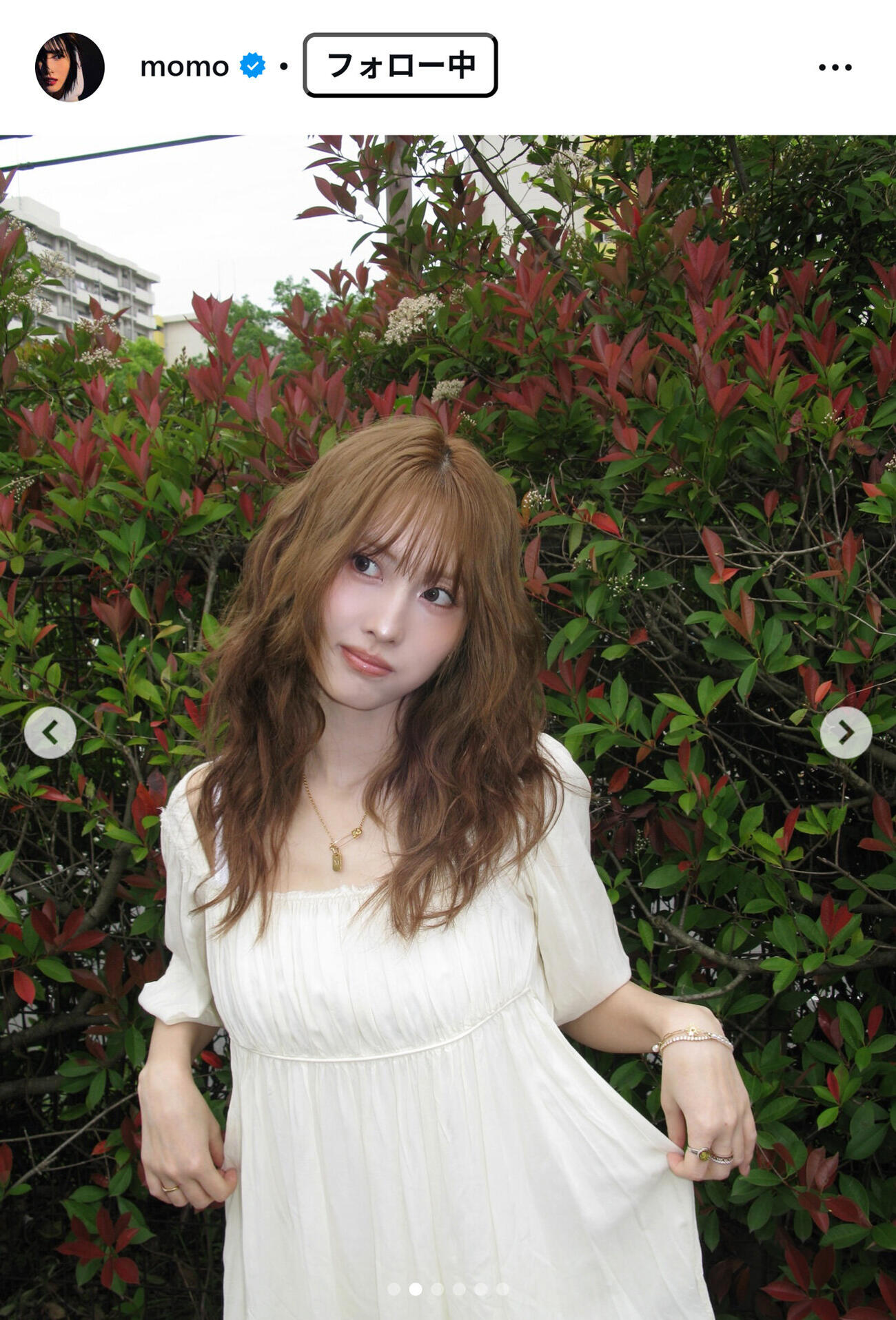 MOMOのインスタグラムから