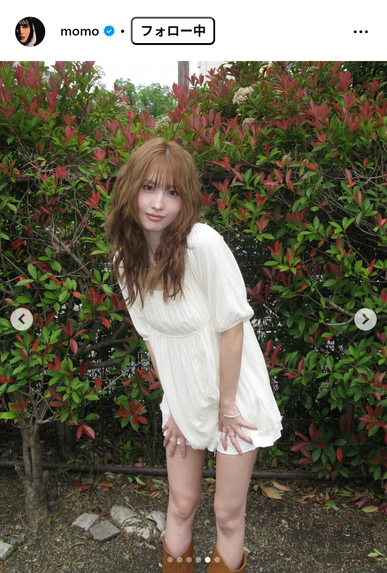 MOMOのインスタグラムから