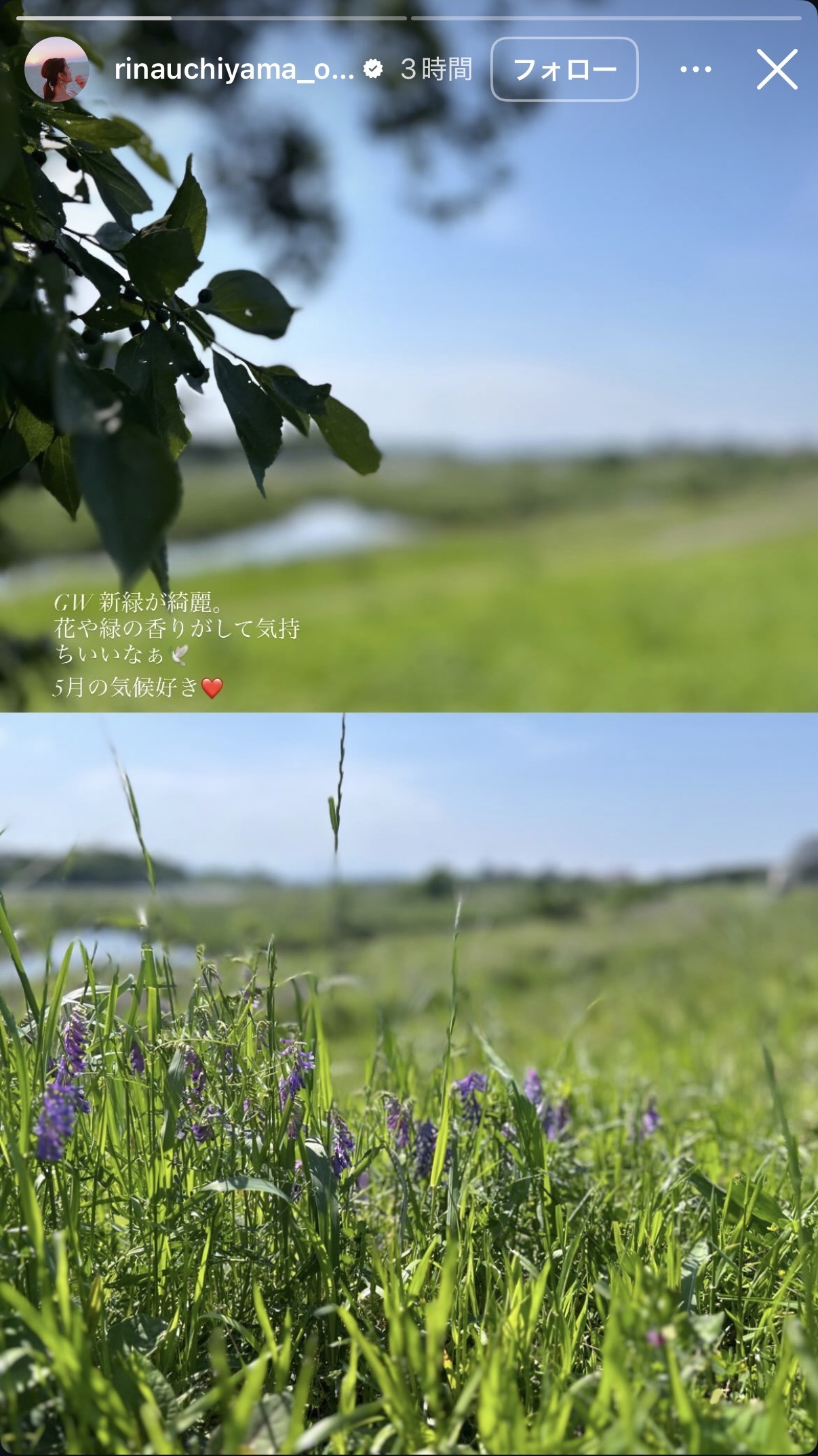 内山理名のインスタグラムから