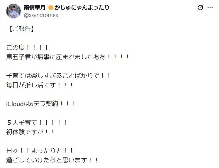 雨情華月のXから