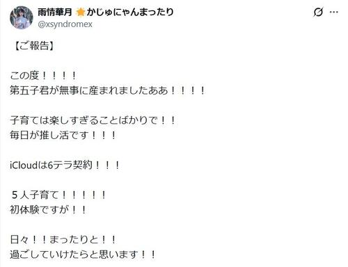 アーティスト系ユーチューバー、第５子出産「毎日推し活です！」「iCloudは６テラ契約！」