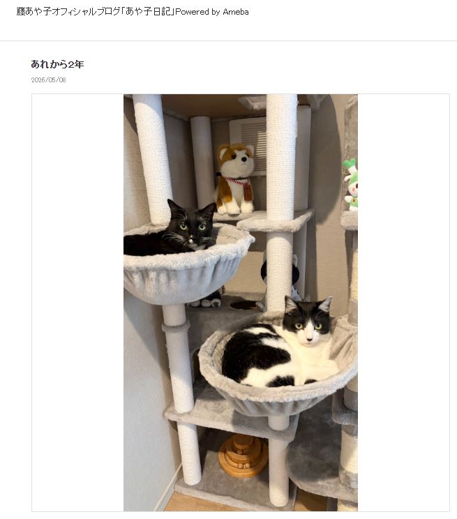藤あや子のブログから