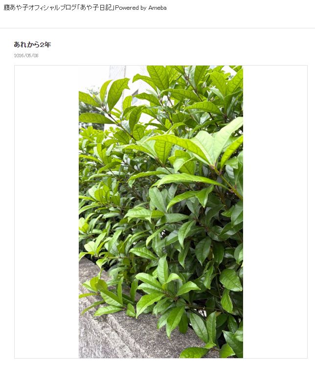 藤あや子のブログから