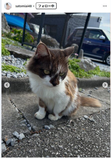 さとみあいのインスタグラムから