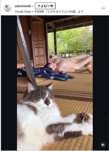 さとみあいのインスタグラムから