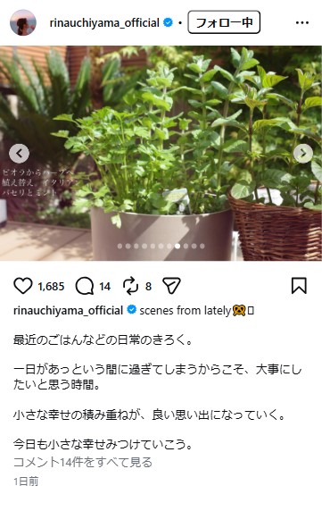 内山理名のインスタグラムから