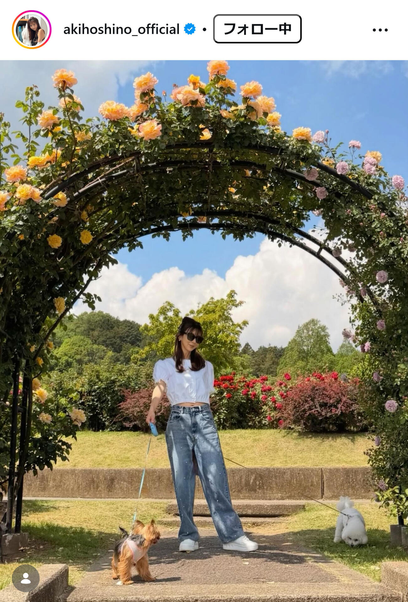 ほしのあきのインスタグラムから