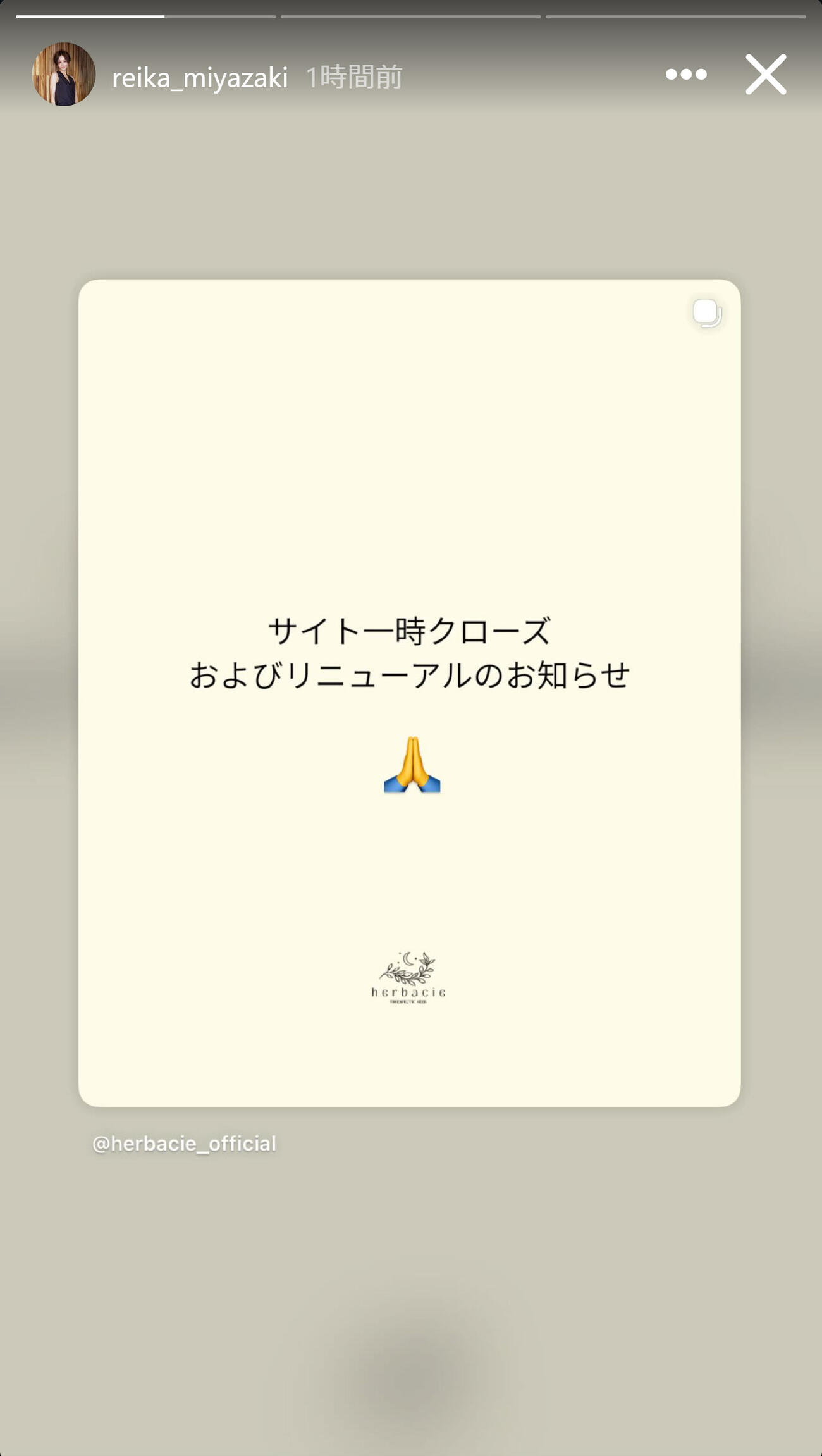 宮崎麗果のインスタグラムから