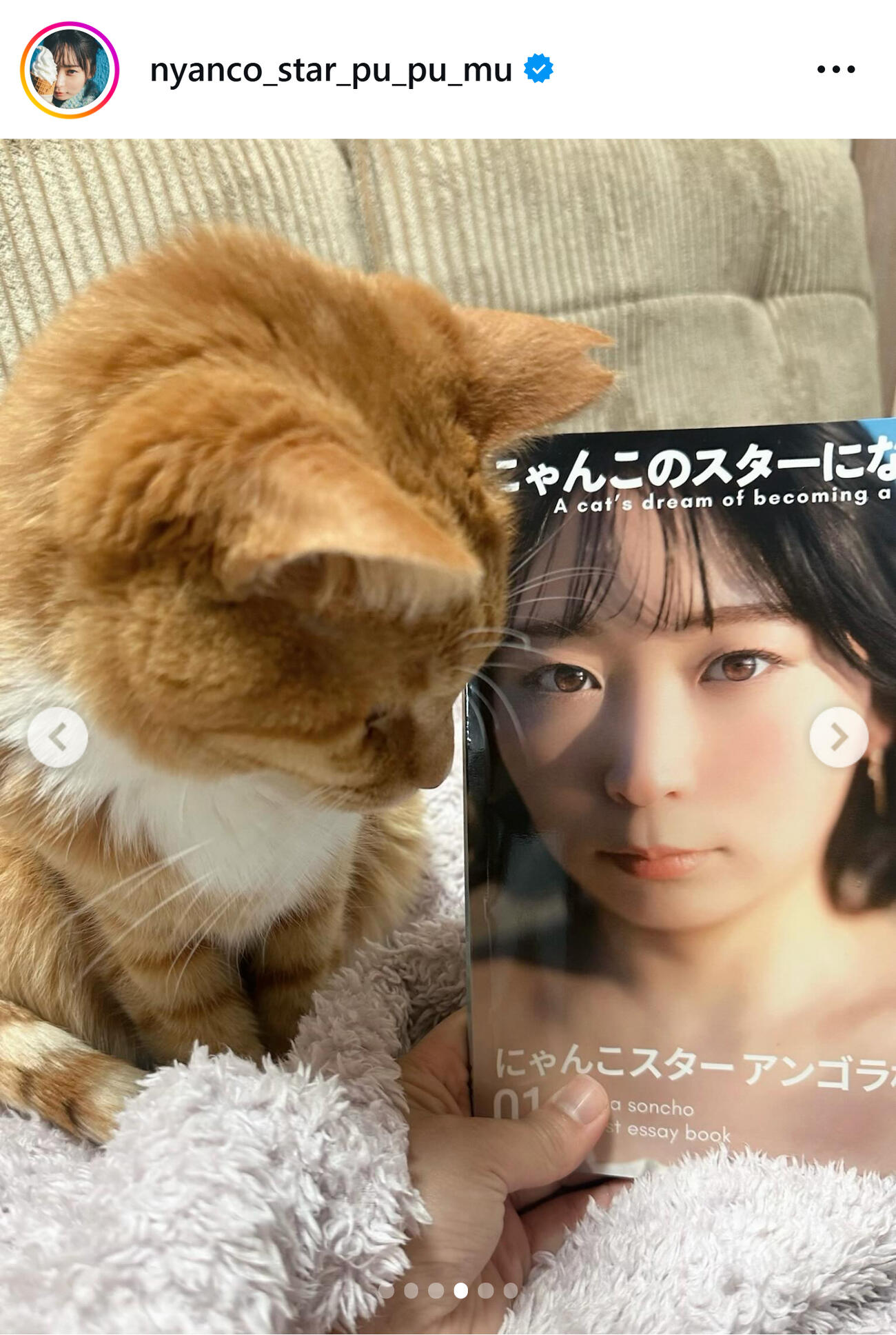 アンゴラ村長のインスタグラムから